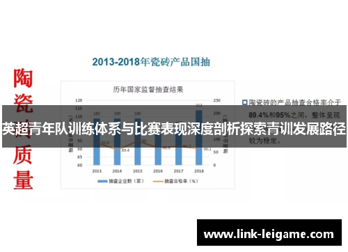 英超青年队训练体系与比赛表现深度剖析探索青训发展路径