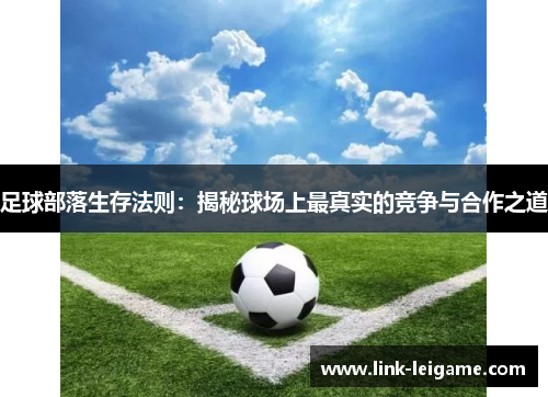 足球部落生存法则:揭秘球场上最真实的竞争与合作之道 足球部落生存法则:揭秘球场上最真实的竞争与合作之道