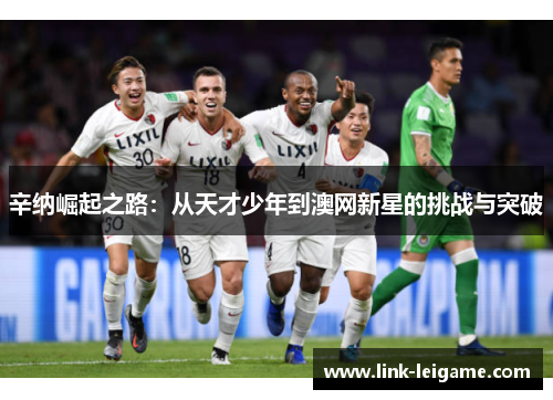 辛纳崛起之路:从天才少年到澳网新星的挑战与突破 辛纳崛起之路:从天才少年到澳网新星的挑战与突破